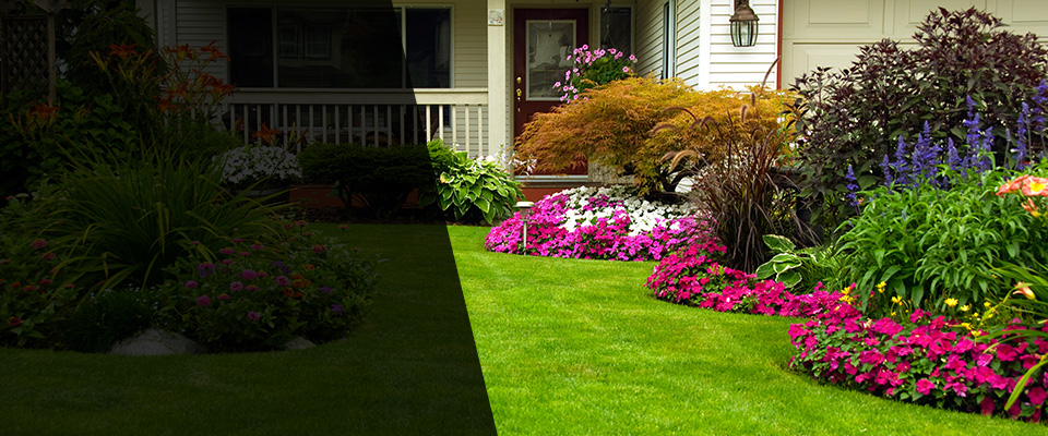 Fresno Landscapers