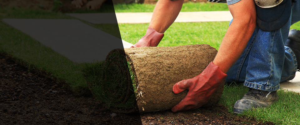 Fresno Landscapers